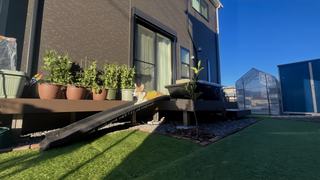 景観が悪くなる