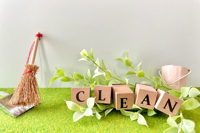 細かいゴミやほこりなどは掃除機で吸う