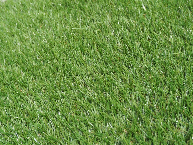 人工芝は選び方次第で本物そっくりな庭に