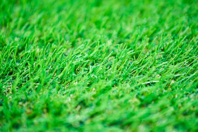 人工芝専用のハサミもある