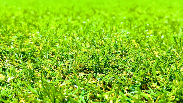 水はけのいい人工芝を使用する