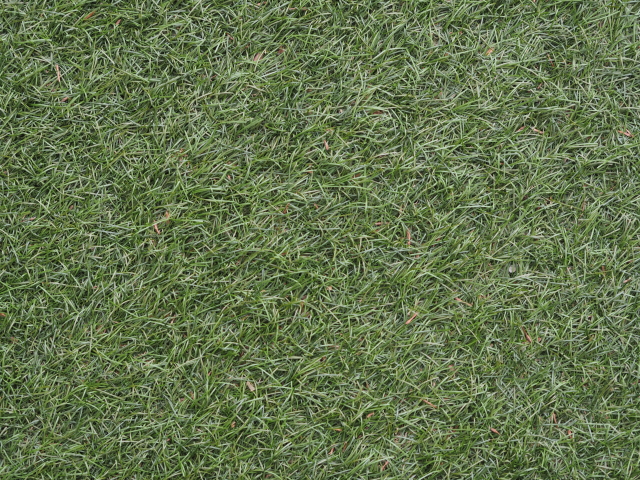 防草シートを敷かないとデコボコになる