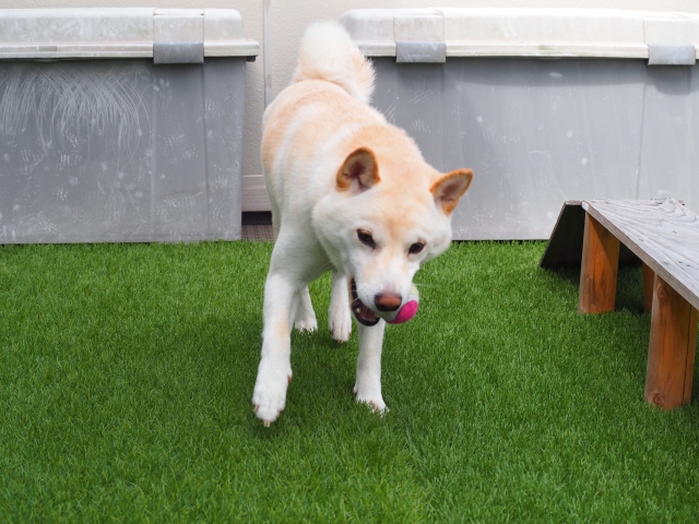 水はけが良くなるよう施工する