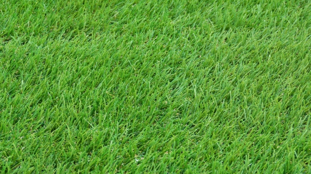 景観が自然でリラックス効果がある