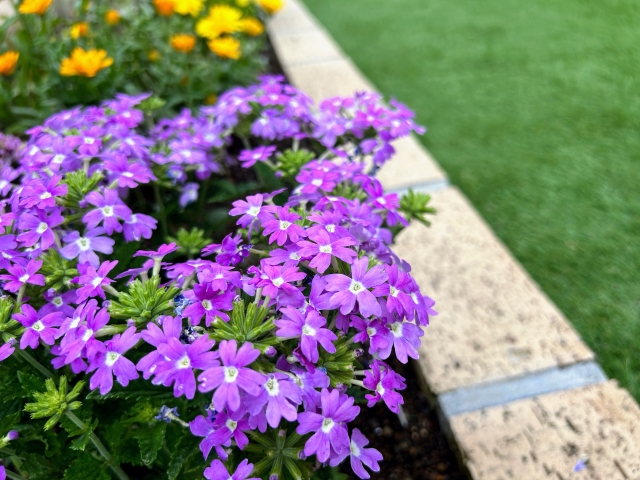 デザイン性が高く見た目が映える