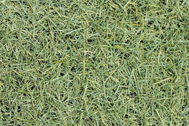 人工芝はしっかり施工しておく